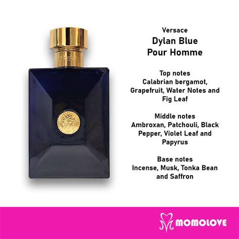 versace man cologne notes